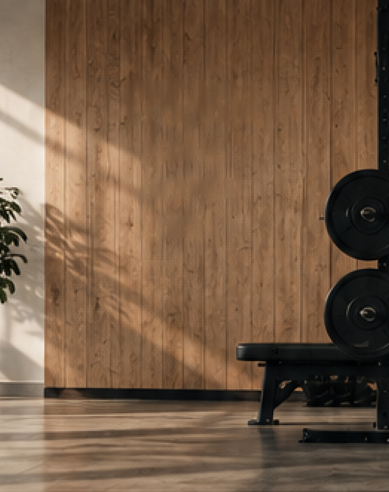 The training floor: a white-oak wall, a bench, and loaded plates.